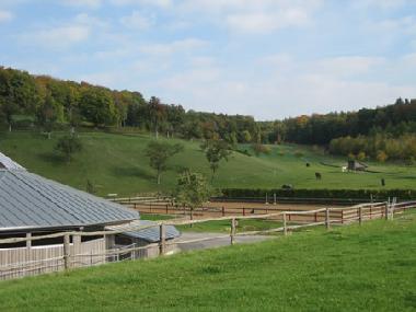 Holiday Apartment in Bad Mergentheim (Taubertal) or holiday homes and vacation rentals