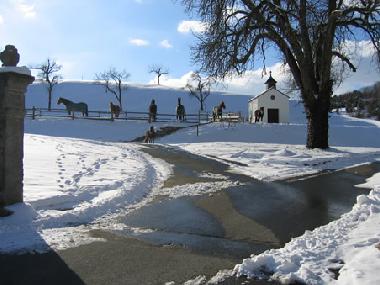 Holiday Apartment in Bad Mergentheim (Taubertal) or holiday homes and vacation rentals