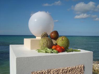 fruits from Jamaica!