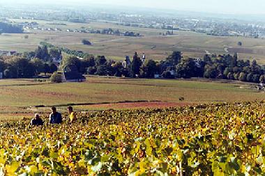 Holiday House in Romenay (Sa�ne-et-Loire) or holiday homes and vacation rentals