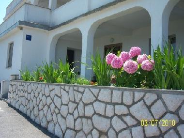 Holiday Apartment in Lopar (Primorsko-Goranska) or holiday homes and vacation rentals