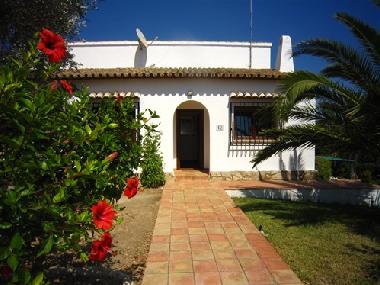 Villa in Oliva (Valencia / Valncia) or holiday homes and vacation rentals