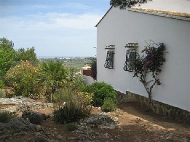 Villa in Oliva (Valencia / Val�ncia) or holiday homes and vacation rentals