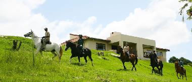 Chalet in Hidcote/Mooiriver (KwaZulu-Natal) or holiday homes and vacation rentals
