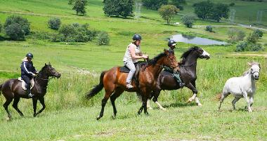 Chalet in Hidcote/Mooiriver (KwaZulu-Natal) or holiday homes and vacation rentals