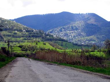 Road to Vale (Sibiu, Transylvania, Romania)