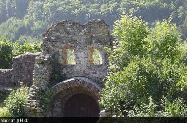 somewhere in the woods