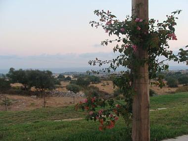 Holiday Apartment in Marina di Ragusa (Ragusa) or holiday homes and vacation rentals