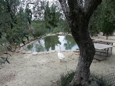 Holiday House in Peratallada (Girona) or holiday homes and vacation rentals