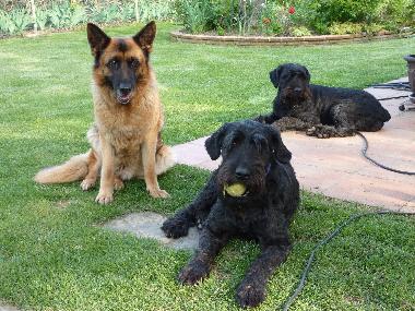 Holiday House in Peratallada (Girona) or holiday homes and vacation rentals