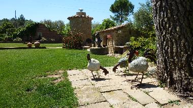 Holiday House in Peratallada (Girona) or holiday homes and vacation rentals