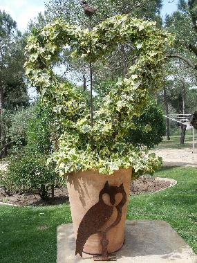 Holiday House in Peratallada (Girona) or holiday homes and vacation rentals