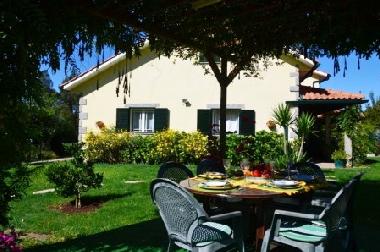 Holiday House in paredes de coura (Norte) or holiday homes and vacation rentals