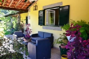 Holiday House in paredes de coura (Norte) or holiday homes and vacation rentals