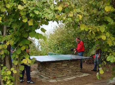 Table tennis in the garden