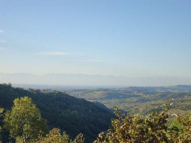 View from the garden