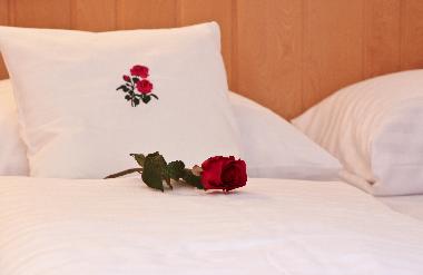 family holidays in the kitzbuehel alps