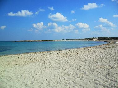 Holiday Apartment in Carovigno (Brindisi) or holiday homes and vacation rentals
