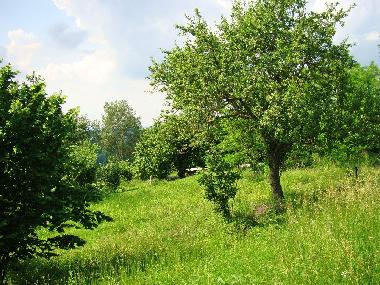 View of the large garden (ca. 15000qm)