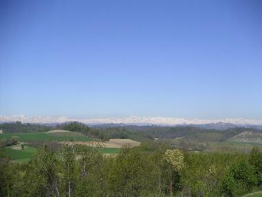 View from the garden to the Alps in spring