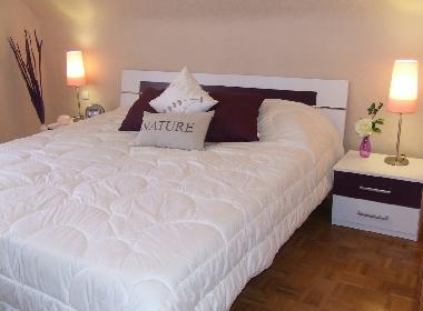 Holiday House in Sturzelbronn (Bas-Rhin) or holiday homes and vacation rentals