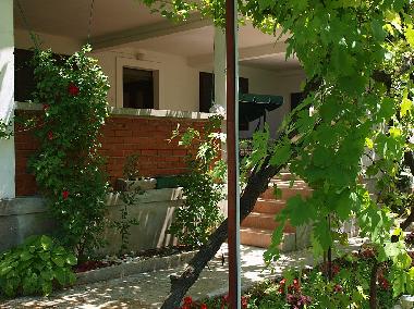 Holiday House in Biograd na moru (Zadarska) or holiday homes and vacation rentals