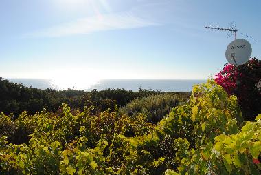 Holiday House in Ericeira (Grande Lisboa) or holiday homes and vacation rentals