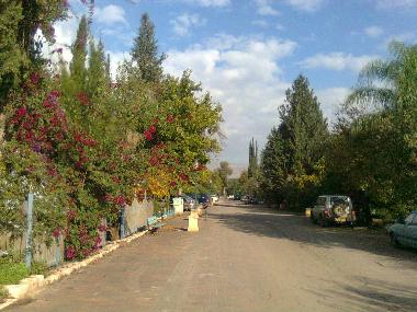 Yesod Hama`ala historical street - 2 minutes walk from us