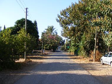 Our quiet street