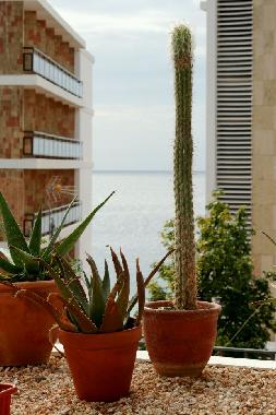 Chalet in Palma (Mallorca) or holiday homes and vacation rentals