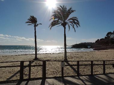 Chalet in Palma (Mallorca) or holiday homes and vacation rentals