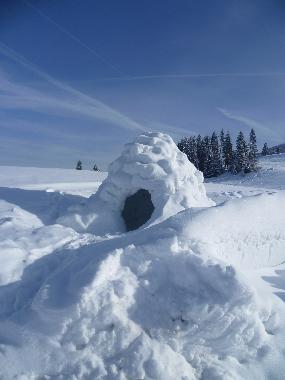 Holiday House in Riefensberg (Bludenz-Bregenzer Wald) or holiday homes and vacation rentals