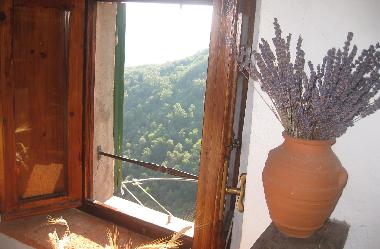 Holiday Apartment in Sassetta (Livorno) or holiday homes and vacation rentals