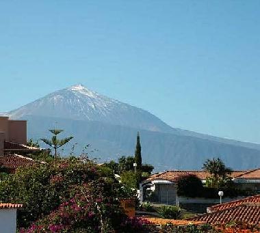 Holiday Apartment in El Sauzal (Teneriffa) or holiday homes and vacation rentals