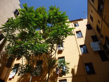 Holiday Apartment in Rome (Roma) or holiday homes and vacation rentals