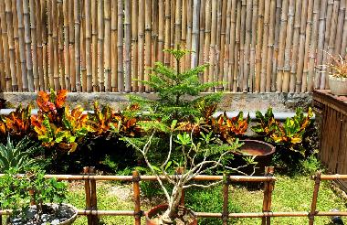Villa in Banjar Sawaggan (Bali) or holiday homes and vacation rentals