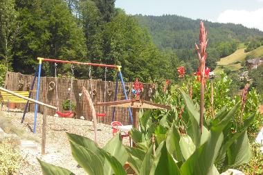 Holiday House in Oppenau-Lierbach (Black Forest) or holiday homes and vacation rentals