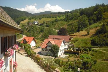 Holiday House in Oppenau-Lierbach (Black Forest) or holiday homes and vacation rentals