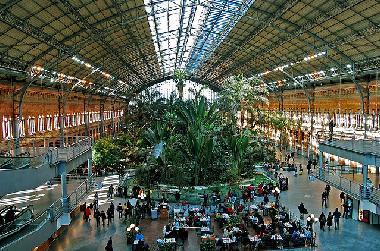 Bed and Breakfast in Madrid (Madrid) or holiday homes and vacation rentals