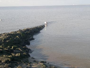 Holiday Apartment in Norddeich (Nordsee-Festland / Ostfriesland) or holiday homes and vacation rentals