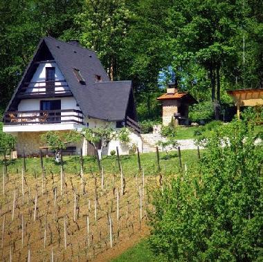 Holiday House in Klenovnik (Varazdinska) or holiday homes and vacation rentals