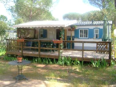 Chalet in Vidauban (Var) or holiday homes and vacation rentals
