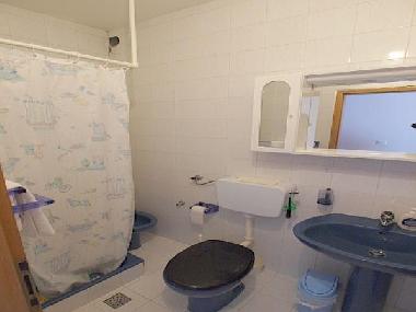 Holiday Apartment in Marusici (Splitsko-Dalmatinska) or holiday homes and vacation rentals