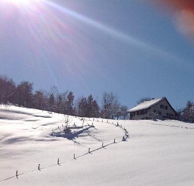 Holiday House in B�retswil (Z�rich) or holiday homes and vacation rentals