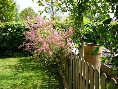 Holiday House in Esquelbecq (Nord) or holiday homes and vacation rentals