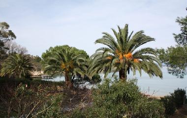 Villa in Vourvourou (Chalkidiki) or holiday homes and vacation rentals