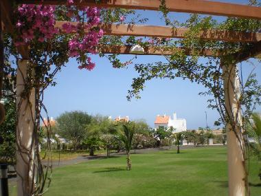Holiday Apartment in Santa Maria (Sal) or holiday homes and vacation rentals