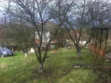 Holiday House in Ivancea (Orhei) or holiday homes and vacation rentals