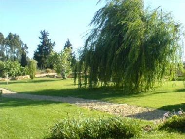 Holiday Apartment in Lagos (Algarve) or holiday homes and vacation rentals