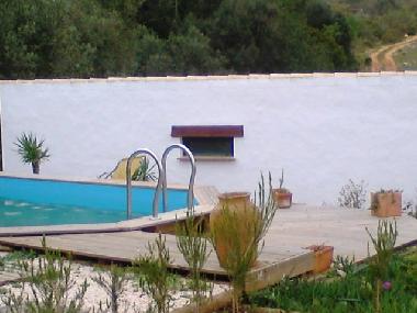Holiday Apartment in Lagos (Algarve) or holiday homes and vacation rentals